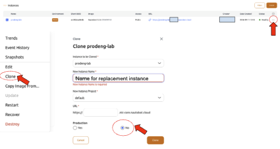 Cloning an instance, with Production left set to No.