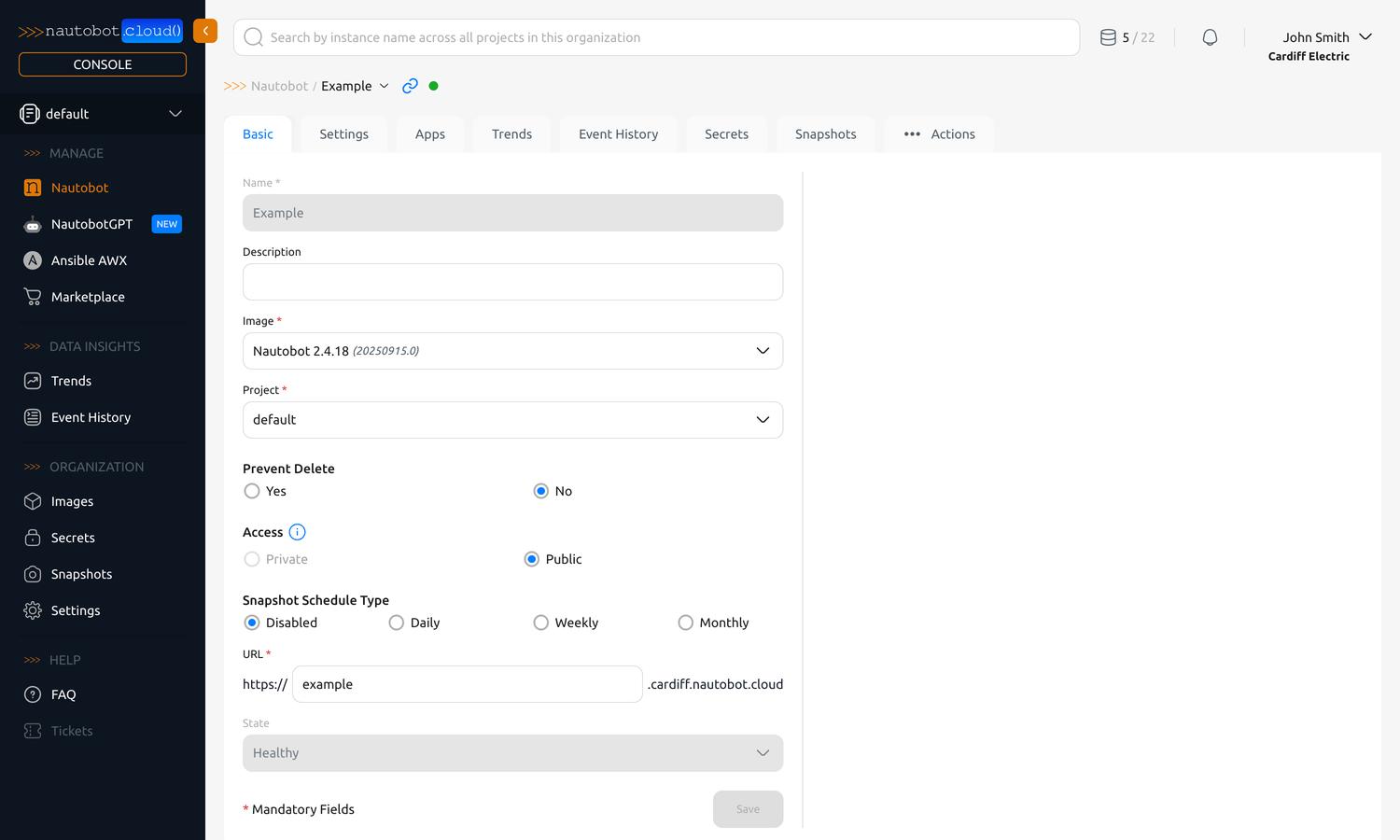 "Basic" tab of an instance detail view