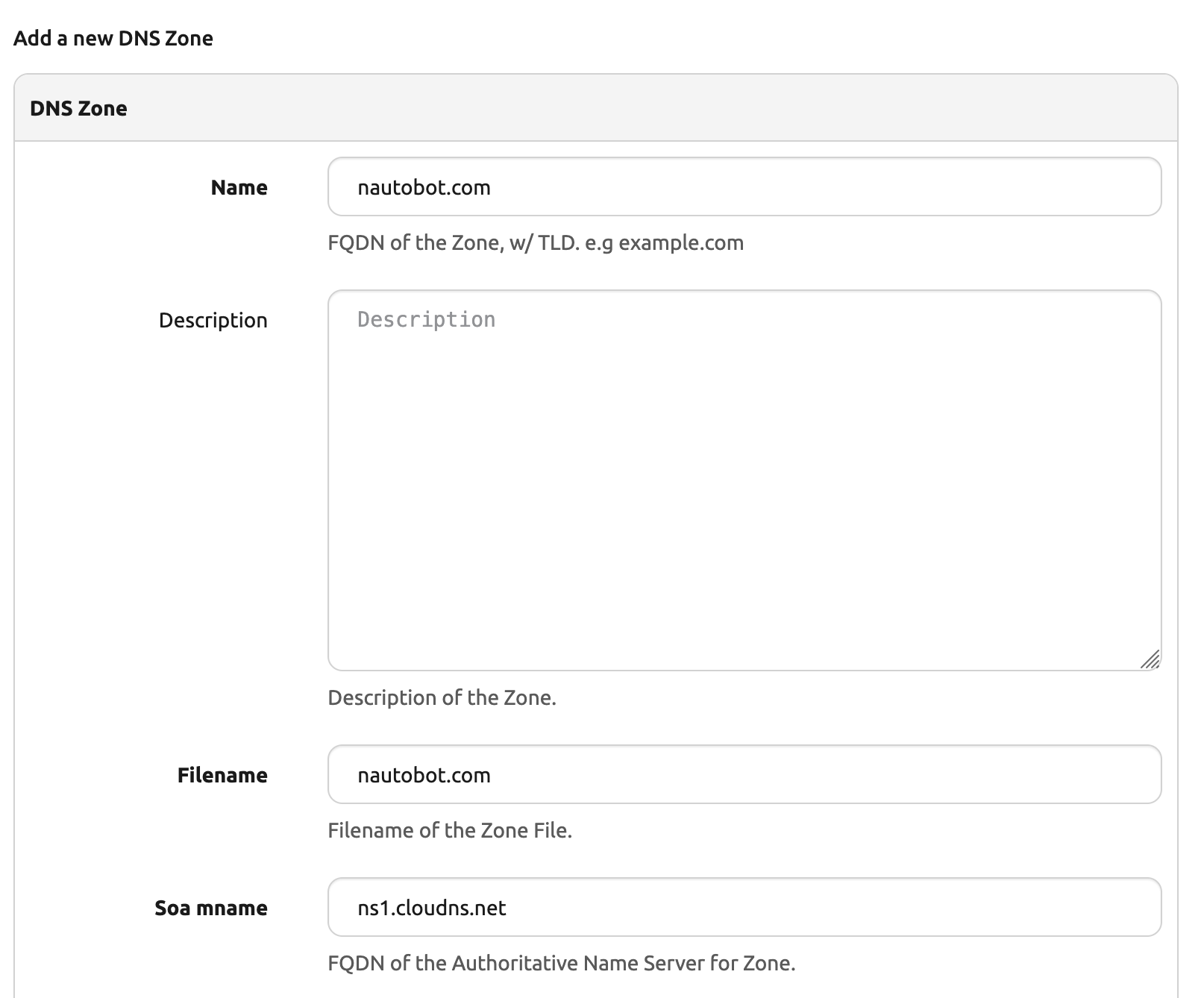 Example New DNS Zone form with filled entries