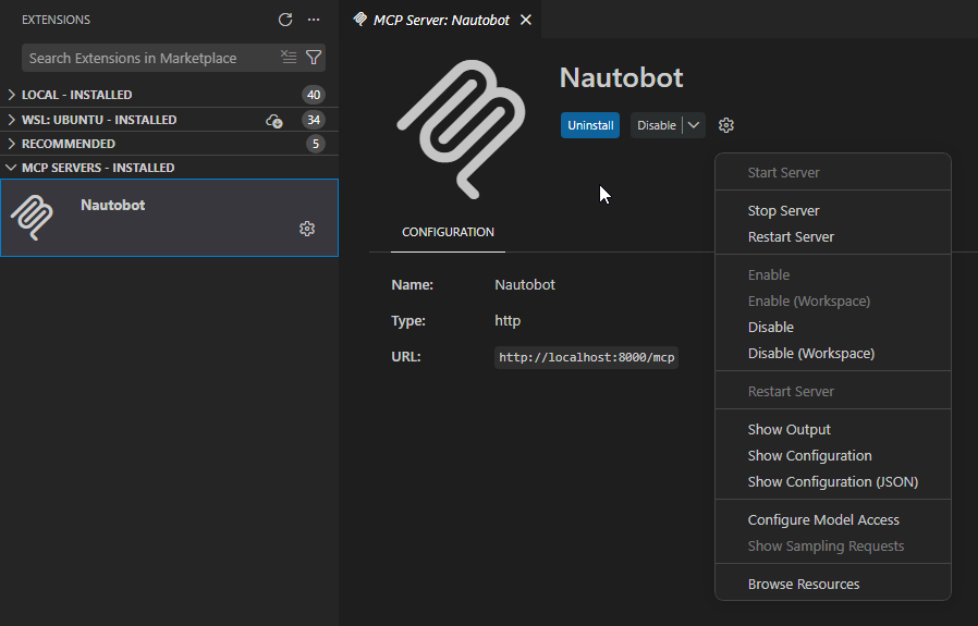 VS Code MCP Extensions View