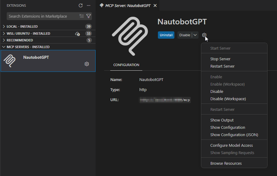 VS Code MCP Extensions View